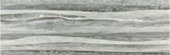 Picture of DEC Silver Bellagio Colorker