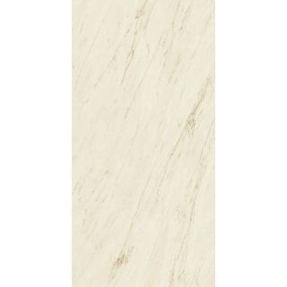 Изображение Керамогранит Atlas Concorde Marvel Pro Cremo Delicato 60x120 (A21N)