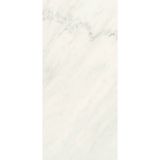 Picture of Плитка Fiandre Marble Lab Premium White Lucidato 120х60 (AL191X864)