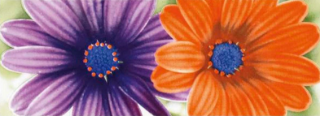 Зображення Плитка декор Dado.Dec Gerbera 12.5*33.3 квіти гербери оранжева 