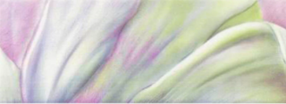 Зображення Плитка декор Dado.L.Essenza 12.5*33.3 рожево-салатова