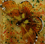 Picture of Плитка декор Archeo.SA8/FL-AR+MIX 10*10 метелик оранжевий