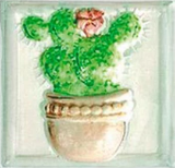 Picture of Плитка декор Herb.Dec Formella Piante Crasse 10*10 mix кактус біла