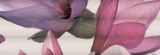Изображение Плитка панно Ibero.Dec.Vega Violet-C 25*75 квіти рожева