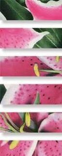 Зображення Плитка Фриз Декор Peronda.L.CNF Lirio/R 10*32  MIX квіти рожево-зелені