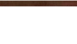 Изображение Плитка фриз L.Nuvole T 2x33.3 Imola коричнева