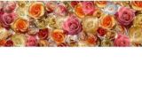Изображение Плитка декор Colorker.Dec.Rosas 29.5*89.3 квіти троянди рожеві
