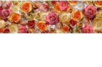 Зображення Плитка декор Colorker.Dec.Rosas 29.5*89.3 квіти троянди рожеві