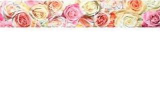 Изображение Плитка фриз Colorker.L.CNF.Rosas 15*89.3 квіти троянди рожеві