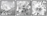 Изображение Плитка декор Ibero Dec.Almond-A 25*75 квіти мигдаль сіра