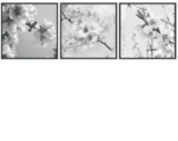 Изображение Плитка декор Ibero Dec.Almond-B 25*75 квіти мигдаль сіра