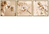 Изображение Плитка декор Ibero Dec.Bloom-B 25*75 квіти бежева
