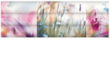 Picture of Плитка декор Ibero Dec.Bouquet-A 25*75 квіти рожева