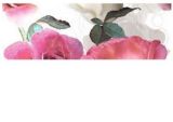 Изображение Плитка панно Ibero Dec.Nature Statuario-A 25*75 квіти троянди рожева