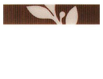 Изображение Плитка фриз Peronda L.CNF Miranda-M/23 5*23 коричневий бежевий