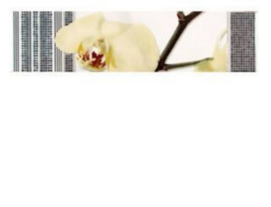 Изображение Плитка фриз Peronda L.CNF Orquidea/R 8*32 біла сіра жовта