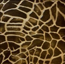 Зображення Плитка GIL 401 Giraffa 40*40