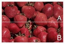 Зображення Плитка декор панно Ibero.Dec.Strawberry-A 25*75 полуниця червона