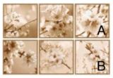 Picture of Плитка декор Ibero Dec.Bloom-A 25*75 квіти бежева