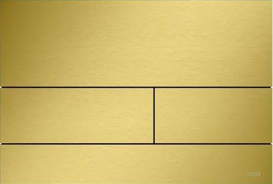 Изображение TECEsquare II Панель подвійного змиву для унітазу, PVD, золото, матовий