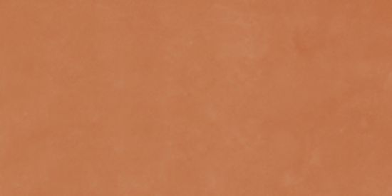 Picture of Плитка IMOLA RETINA RTN6 ARANC12 RM 120*60 керамограніт матова помаранчева