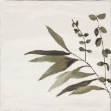 Изображение Плитка Dune Olivia Verde 15*15 біла