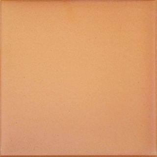 Изображение Плитка GresAragon База Natural 25*25  світло-коричнева