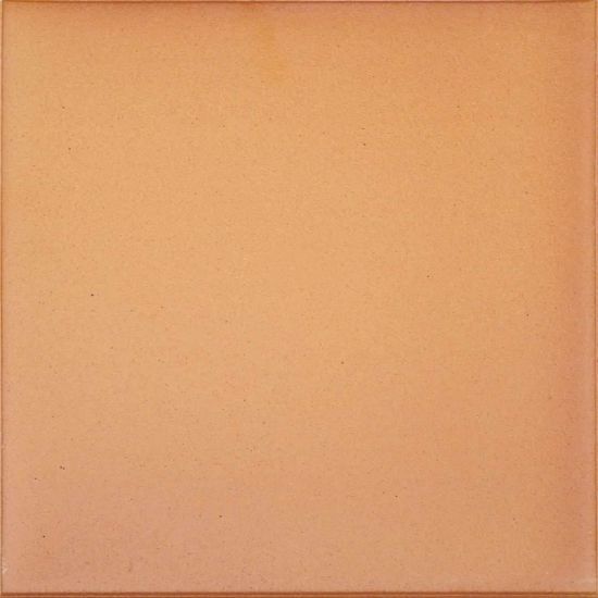 Picture of Плитка GresAragon База Natural 25*25  світло-коричнева