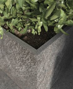 Show products from collection Rocks