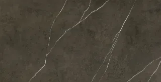 Зображення Apavisa Pietra Grey Polished 119.3*260  сіра